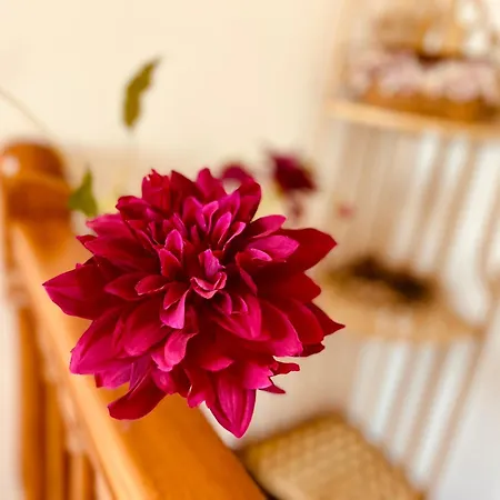 Jardin Del Atlantico Willa *