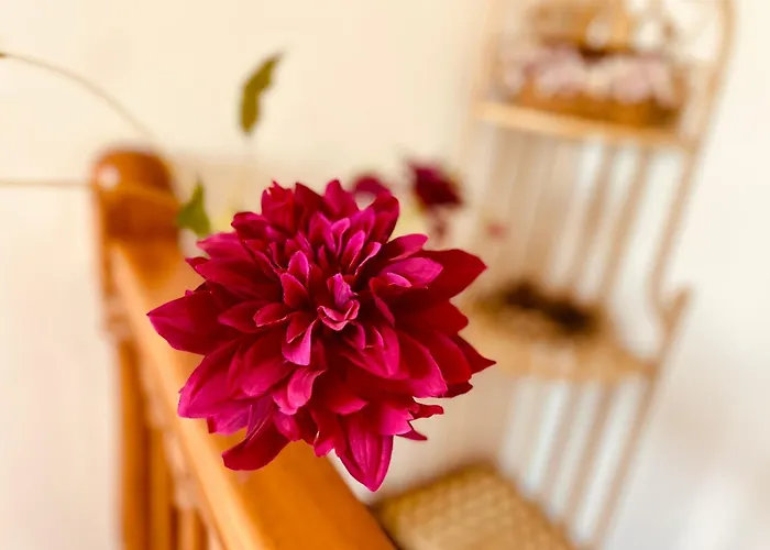 Jardin Del Atlantico Villa *